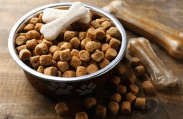The evolution of pet food packaging design and technology